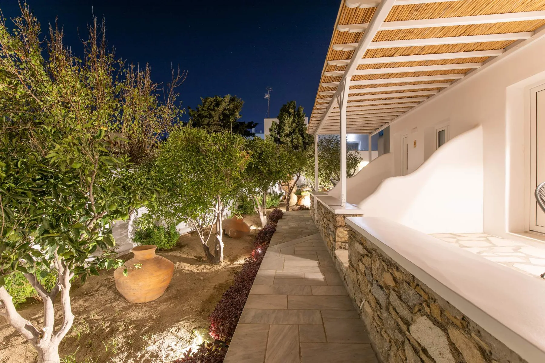 Garden path lined with trees at night
